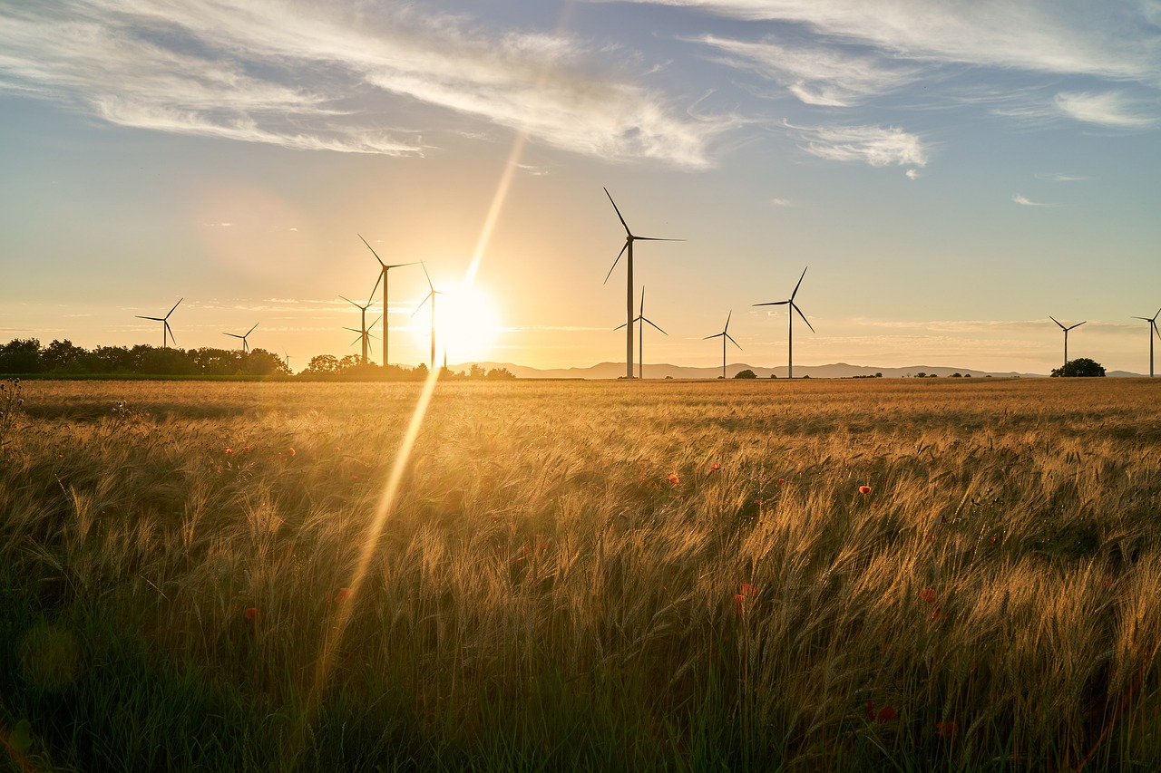 Addressing Common Misconceptions About Green Energy Solutions